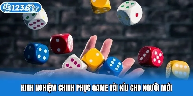 Kinh nghiệm chinh phục game tài xỉu cho người mới
