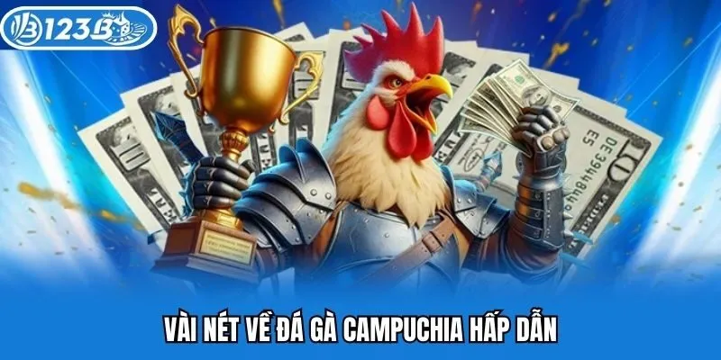 Vài nét về đá gà Campuchia hấp dẫn