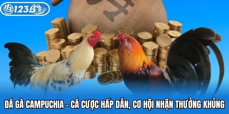 da-ga-campuchia-123b