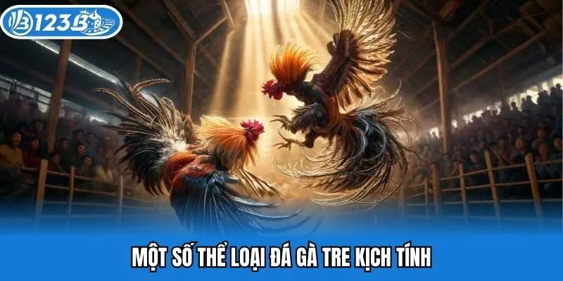 Một số thể loại đá gà tre kịch tính