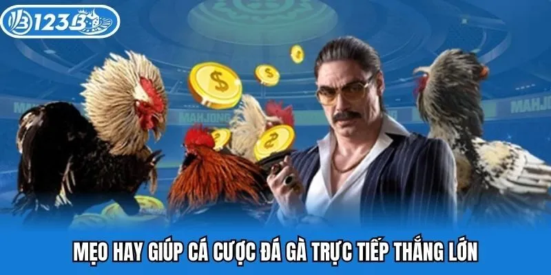 Mẹo hay giúp cá cược đá gà trực tiếp thắng lớn