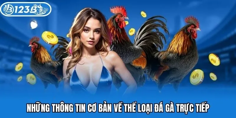 Những thông tin cơ bản về thể loại đá gà trực tiếp