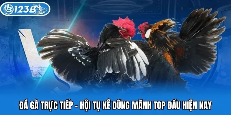 da-ga-truc-tiep-123b
