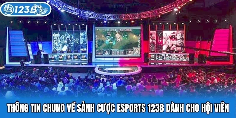 Thông tin chung về sảnh cược esports 123B dành cho hội viên