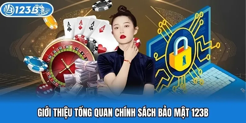 Giới thiệu tổng quan chính sách bảo mật 123B