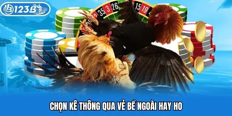 Chọn kê thông qua vẻ bề ngoài hay ho