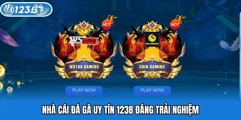 Nhà cái đá gà uy tín 123B đáng trải nghiệm