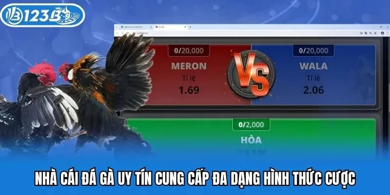Nhà cái đá gà uy tín cung cấp đa dạng hình thức cược