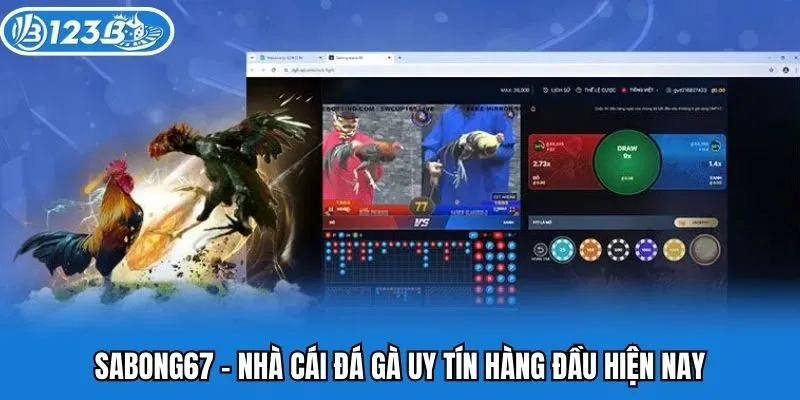 Sabong67 - Nhà cái đá gà uy tín hàng đầu hiện nay