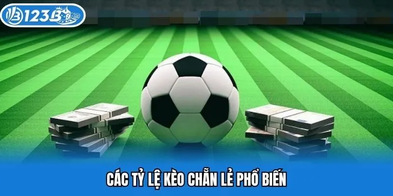 Những tỷ lệ kèo chẵn lẻ vô cùng hấp dẫn