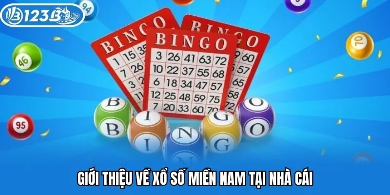 Giới thiệu về xổ số miền Nam tại nhà cái
